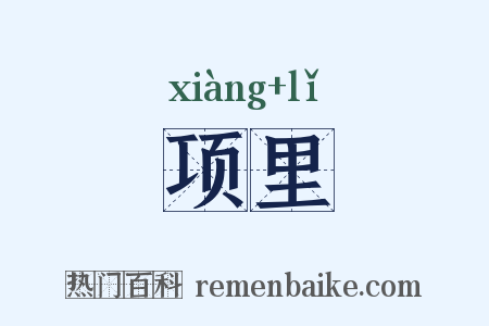 项里是什么意思的图片